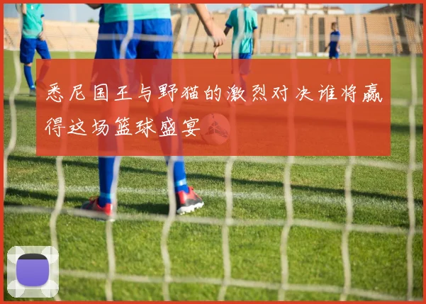 悉尼国王与野猫的激烈对决谁将赢得这场篮球盛宴