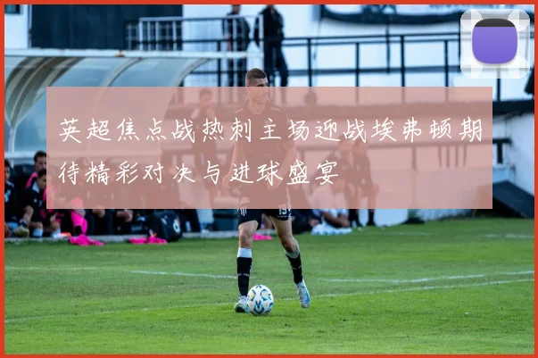 英超焦点战热刺主场迎战埃弗顿期待精彩对决与进球盛宴