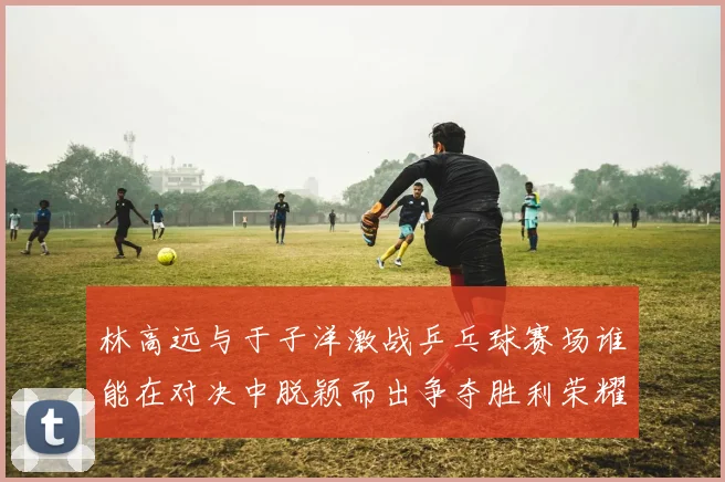 林高远与于子洋激战乒乓球赛场谁能在对决中脱颖而出争夺胜利荣耀