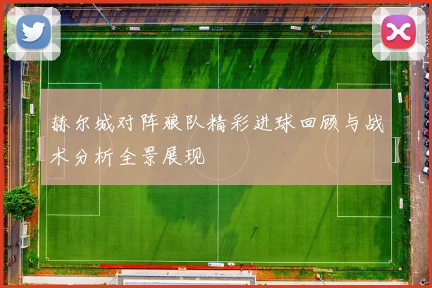 赫尔城对阵狼队精彩进球回顾与战术分析全景展现