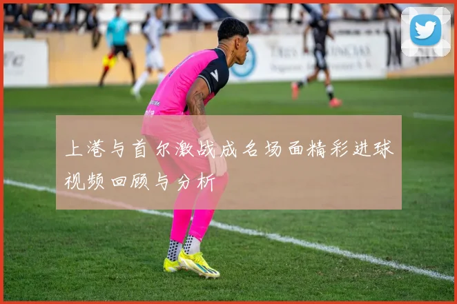 上港与首尔激战成名场面精彩进球视频回顾与分析
