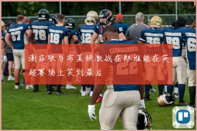 谢菲联与布莱顿激战在即谁能在英超赛场上笑到最后