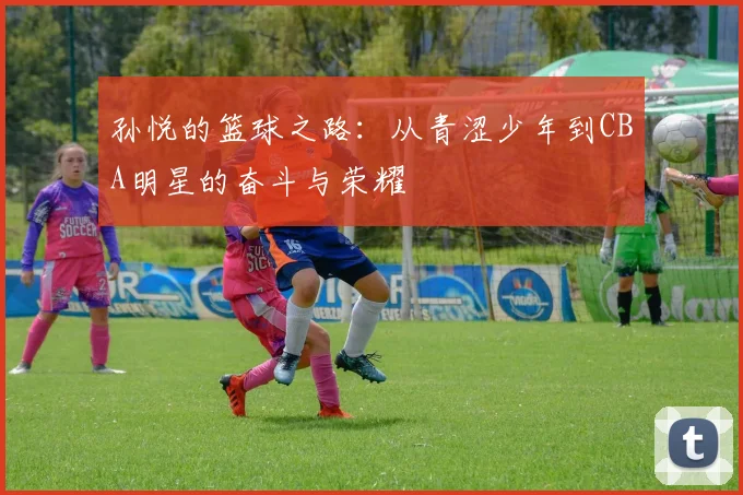 孙悦的篮球之路：从青涩少年到CBA明星的奋斗与荣耀