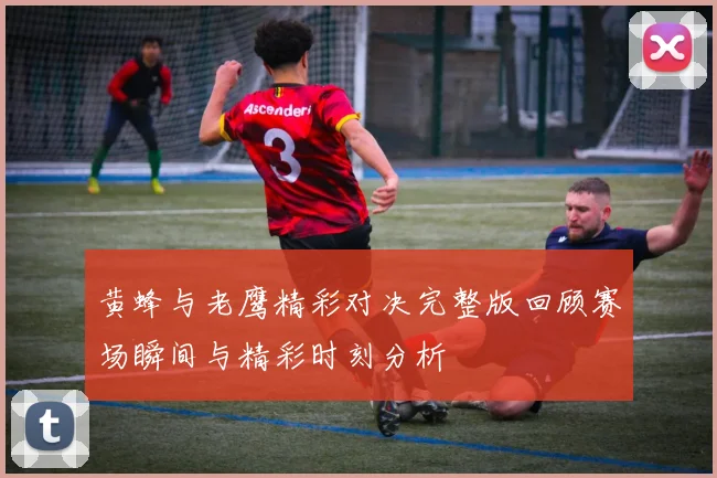 黄蜂与老鹰精彩对决完整版回顾赛场瞬间与精彩时刻分析