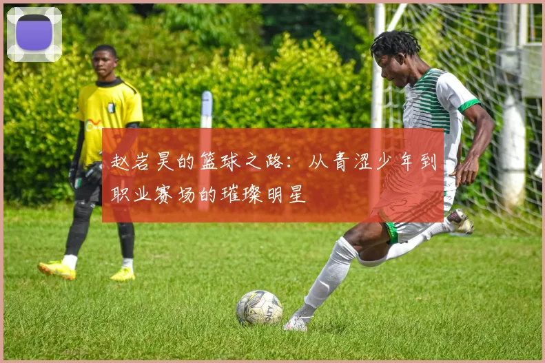 赵岩昊的篮球之路：从青涩少年到职业赛场的璀璨明星